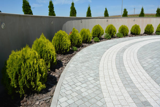 Best Commercial Driveway Pavers  in Marshalltown, IA